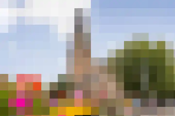 Egelantiersstraat 99 Amsterdam thumbnail 26