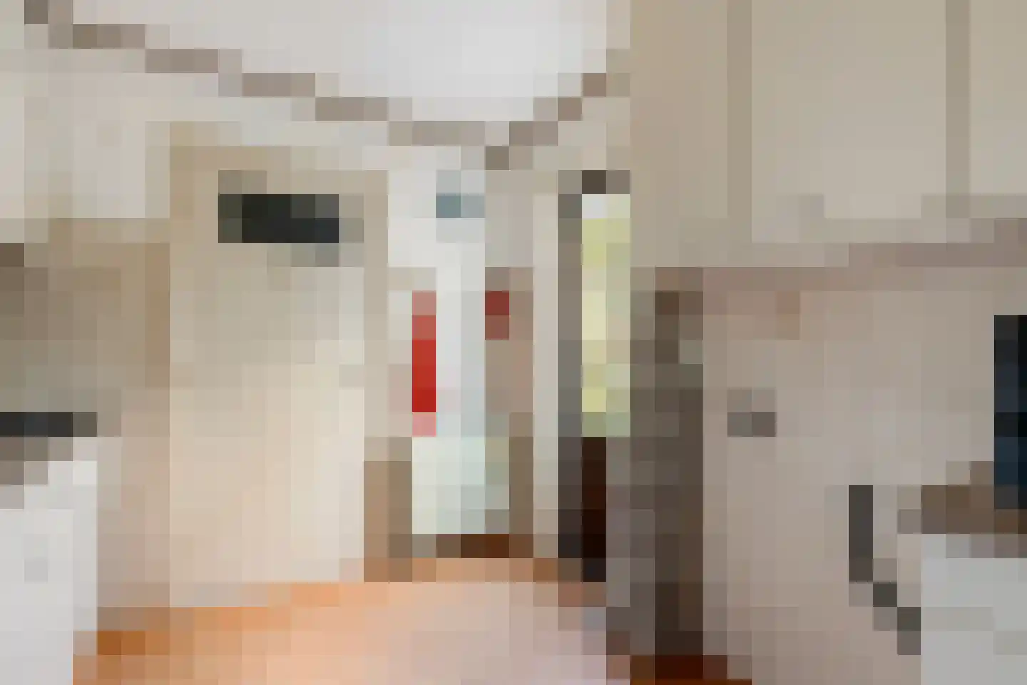 Egelantierstraat 18 Hilversum thumbnail 10