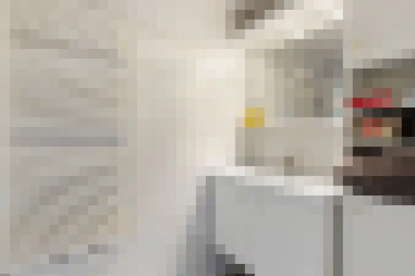 Egelantierstraat 18 Hilversum thumbnail 13