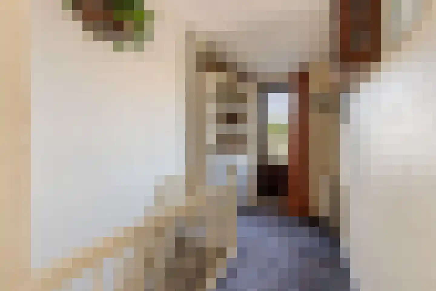 Egelantierstraat 18 Hilversum thumbnail 18