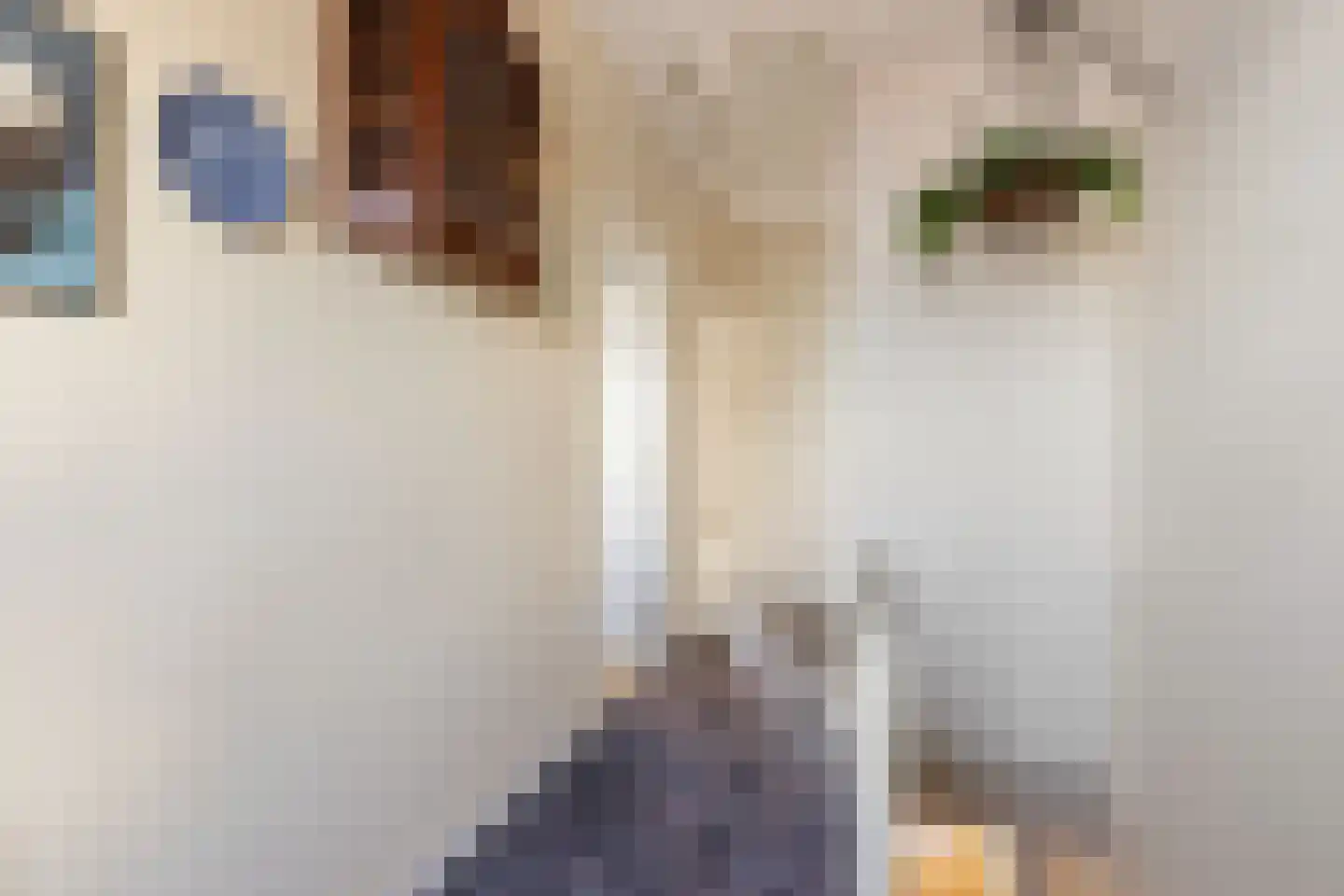Egelantierstraat 18 Hilversum thumbnail 20
