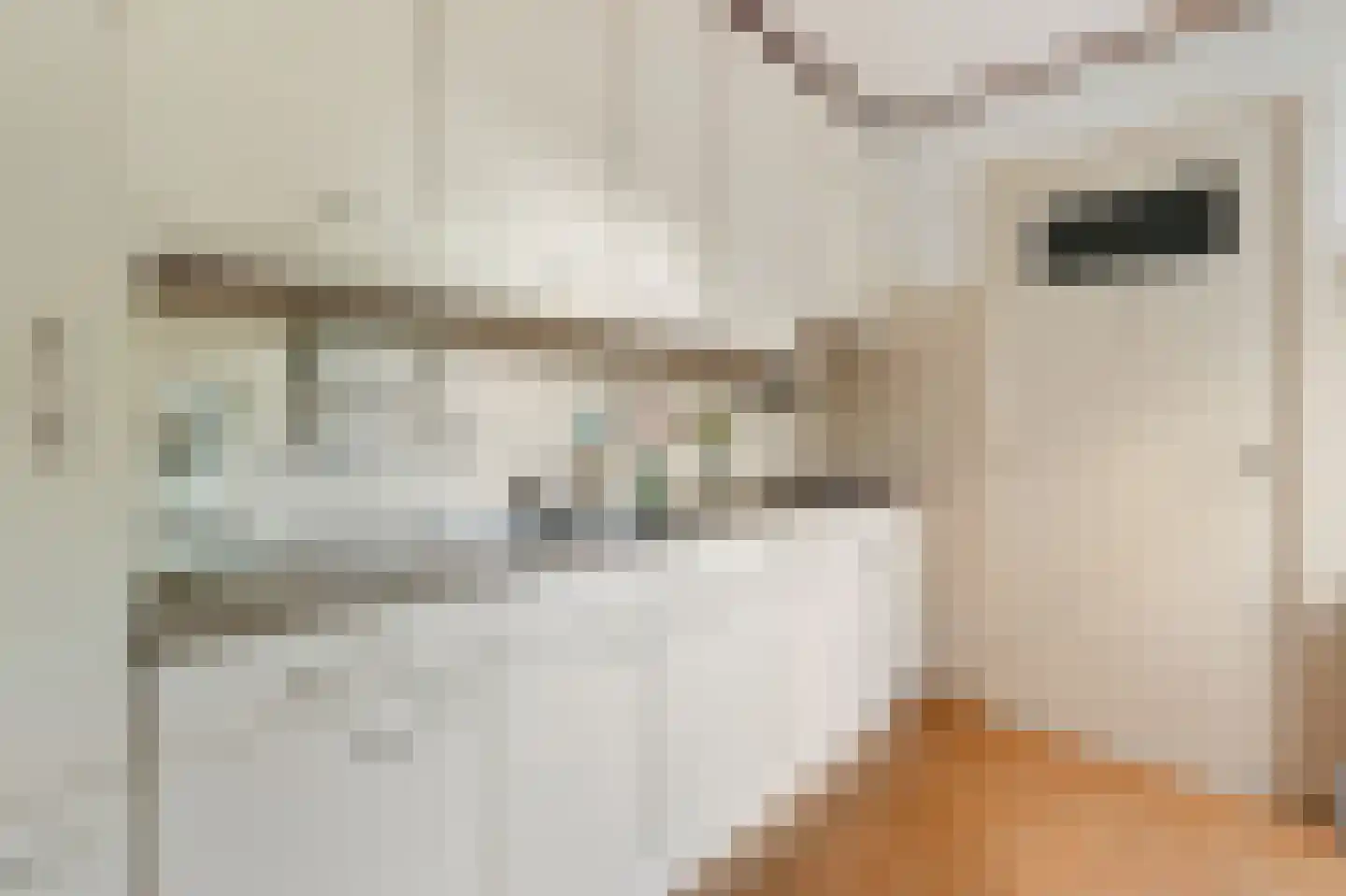 Egelantierstraat 18 Hilversum thumbnail 9