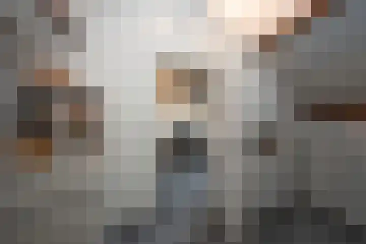 Egelantierstraat 19 Borne thumbnail 19