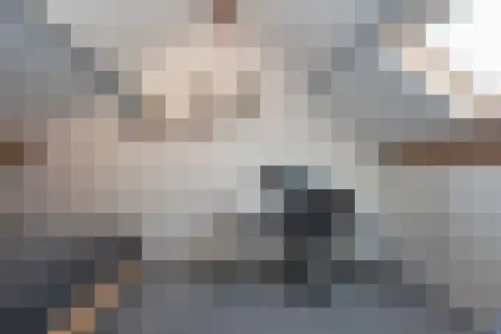 Egelantierstraat 19 Borne thumbnail 20