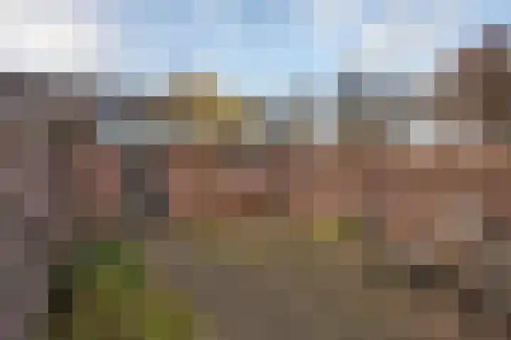 Egelantierstraat 19 Borne thumbnail 22