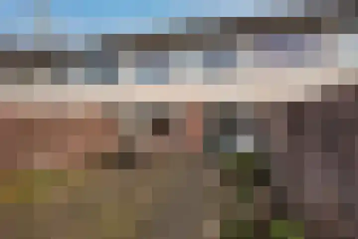 Egelantierstraat 19 Borne thumbnail 24