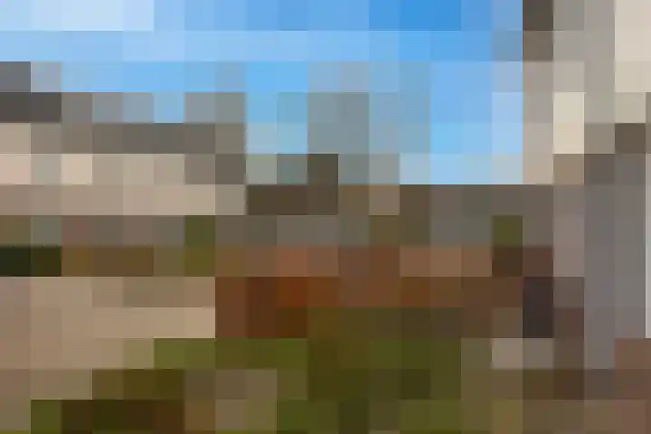 Egelantierstraat 19 Borne thumbnail 25
