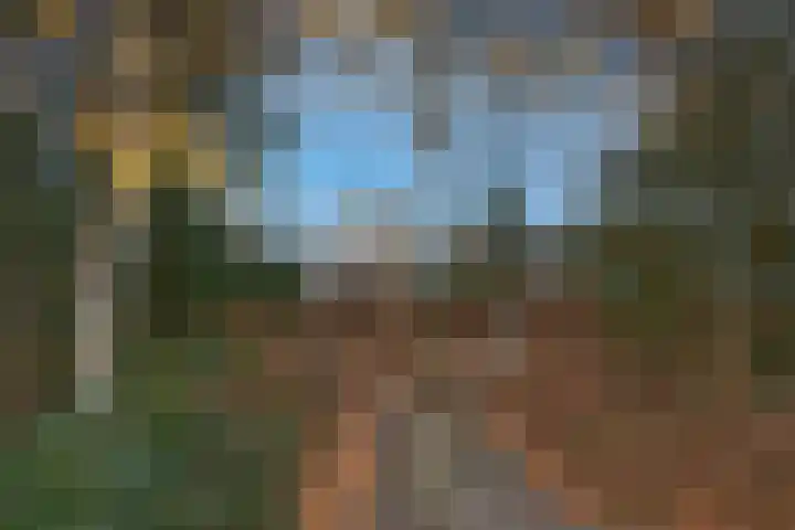 Egelantierstraat 19 Borne thumbnail 26