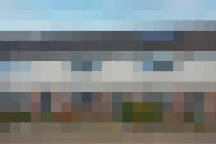 Egelantierstraat 19 Borne thumbnail 5