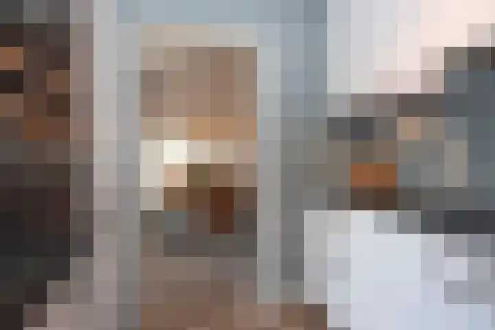 Egelantierstraat 19 Borne thumbnail 8