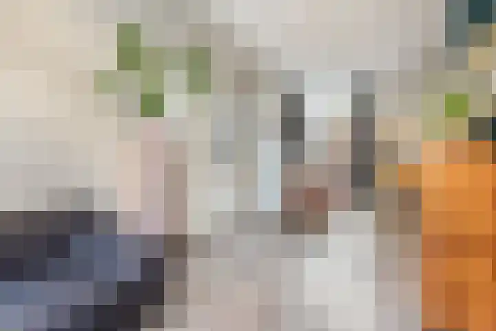 Egelantierstraat 24 Utrecht thumbnail 10