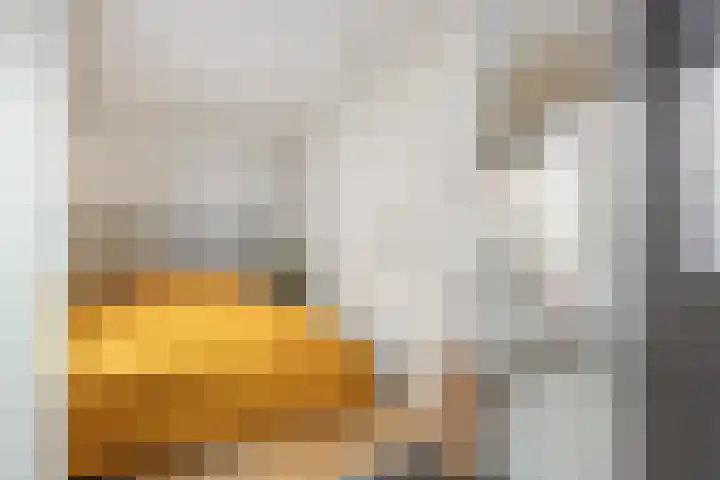 Egelantierstraat 24 Utrecht thumbnail 18