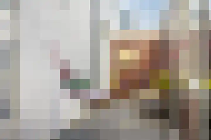 Egelantierstraat 24 Utrecht thumbnail 27