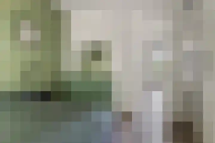 Egelantierstraat 31 Utrecht thumbnail 20