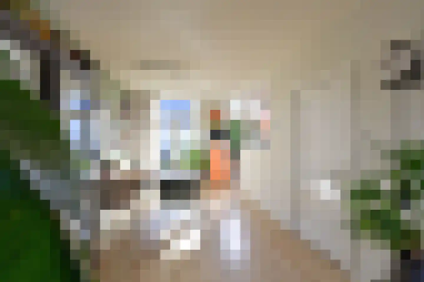 Egelantierstraat 39 Hilversum thumbnail 6
