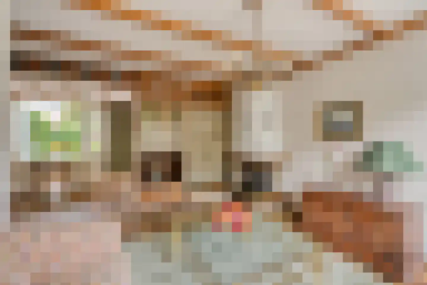 Egelantierstraat 4 Badhoevedorp thumbnail 13