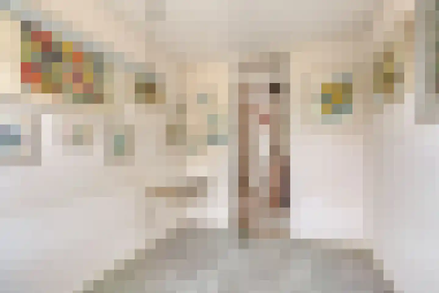Egelantierstraat 4 Badhoevedorp thumbnail 27