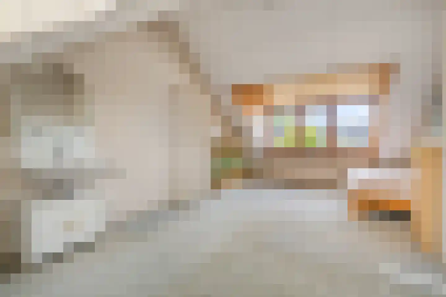 Egelantierstraat 4 Badhoevedorp thumbnail 32