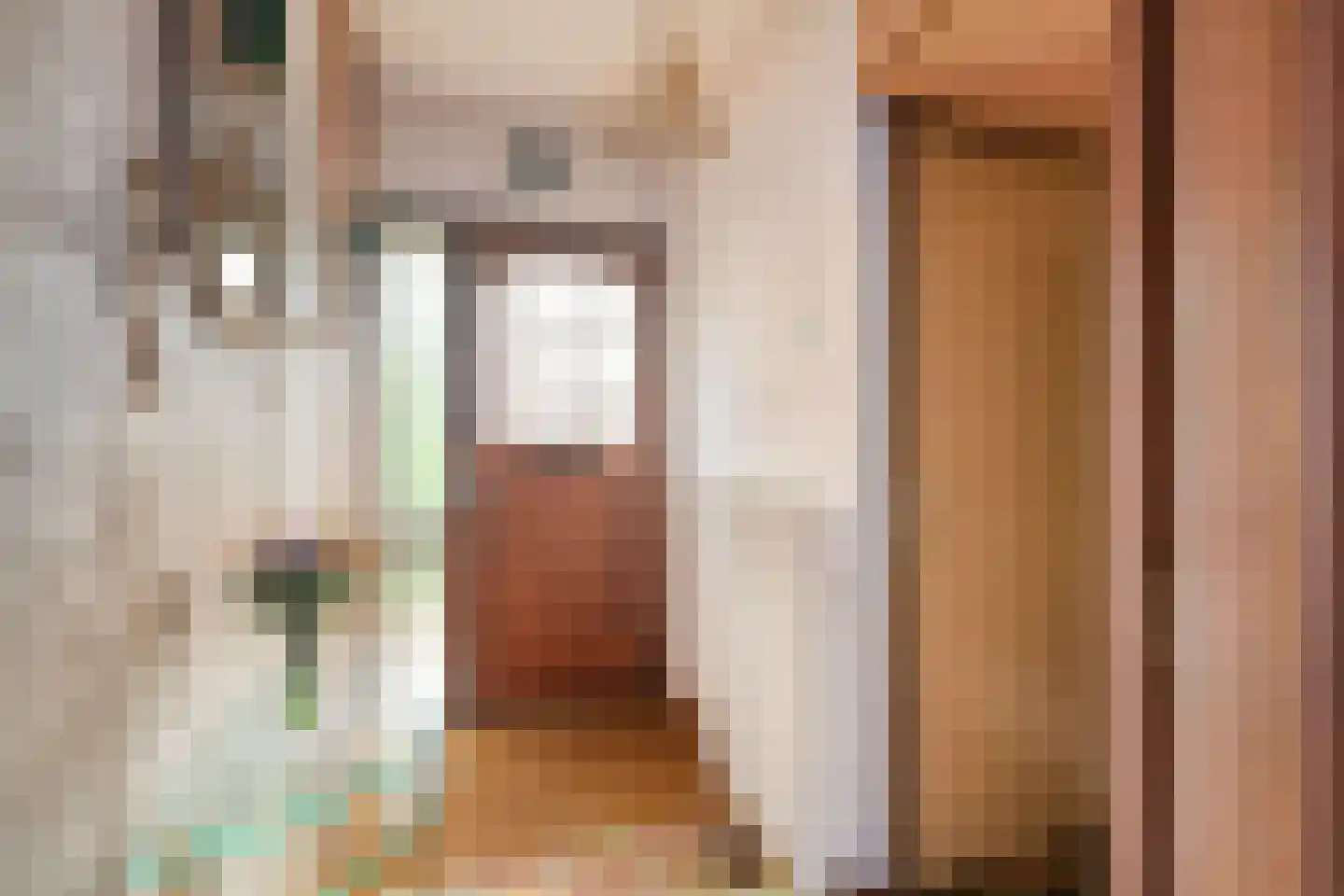 Egelantierstraat 4 Badhoevedorp thumbnail 35
