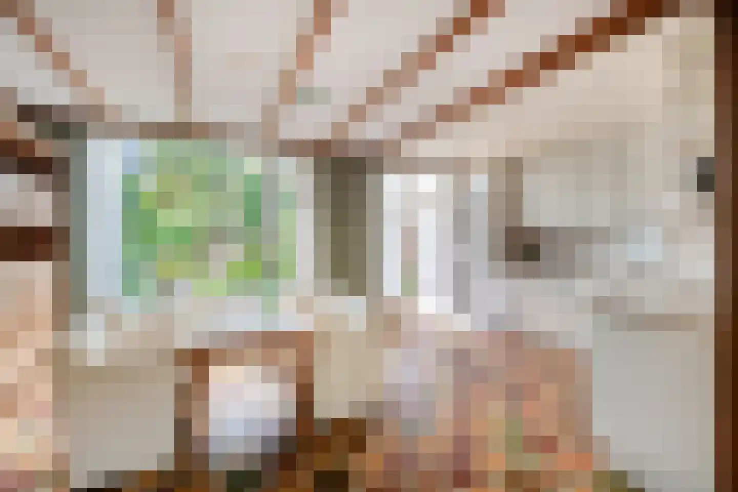 Egelantierstraat 4 Badhoevedorp thumbnail 5