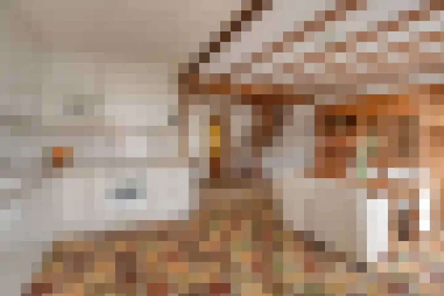 Egelantierstraat 4 Badhoevedorp thumbnail 8