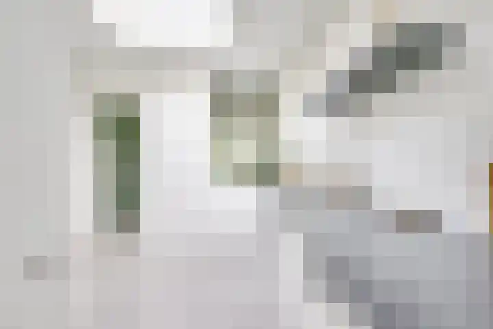 Egelantierstraat 40 Utrecht thumbnail 17