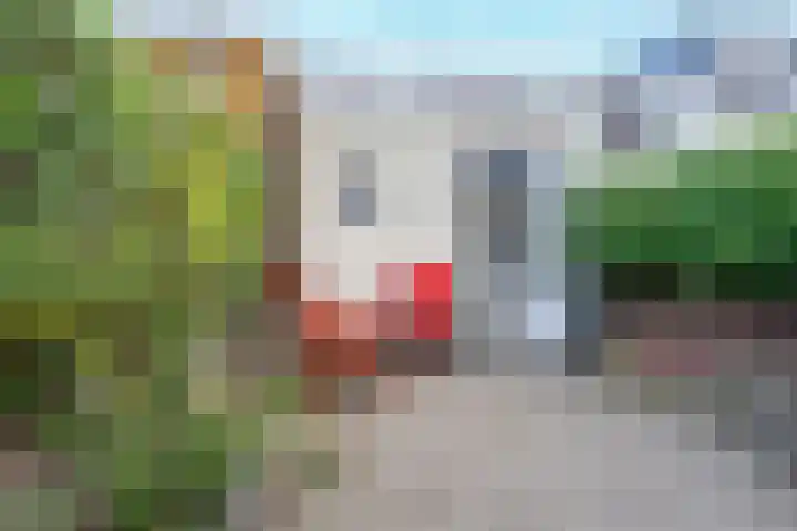 Egelantierstraat 40 Utrecht thumbnail 22
