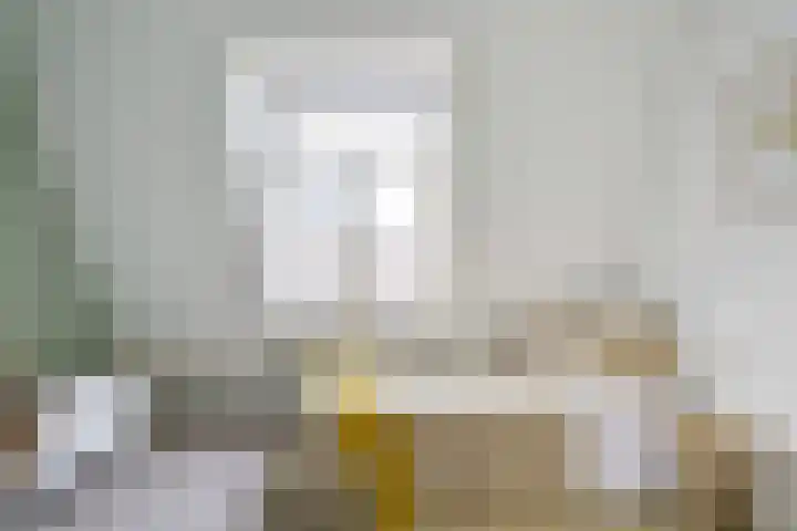 Egelantierstraat 40 Utrecht thumbnail 30