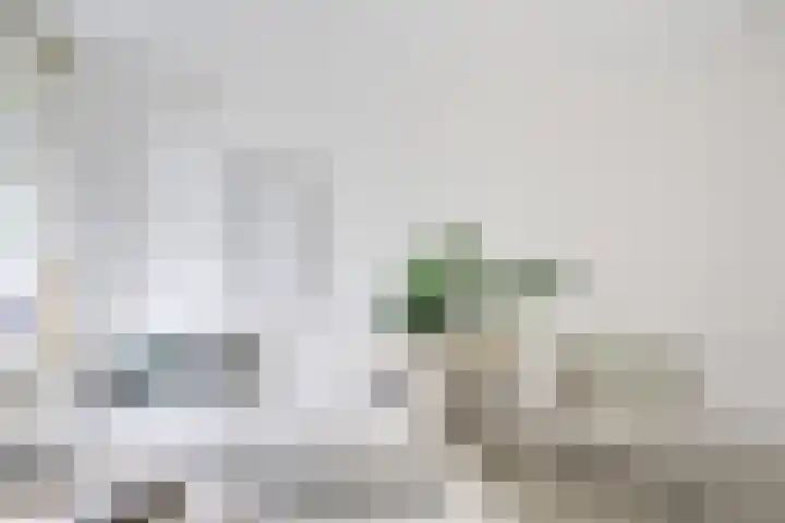 Egelantierstraat 40 Utrecht thumbnail 6