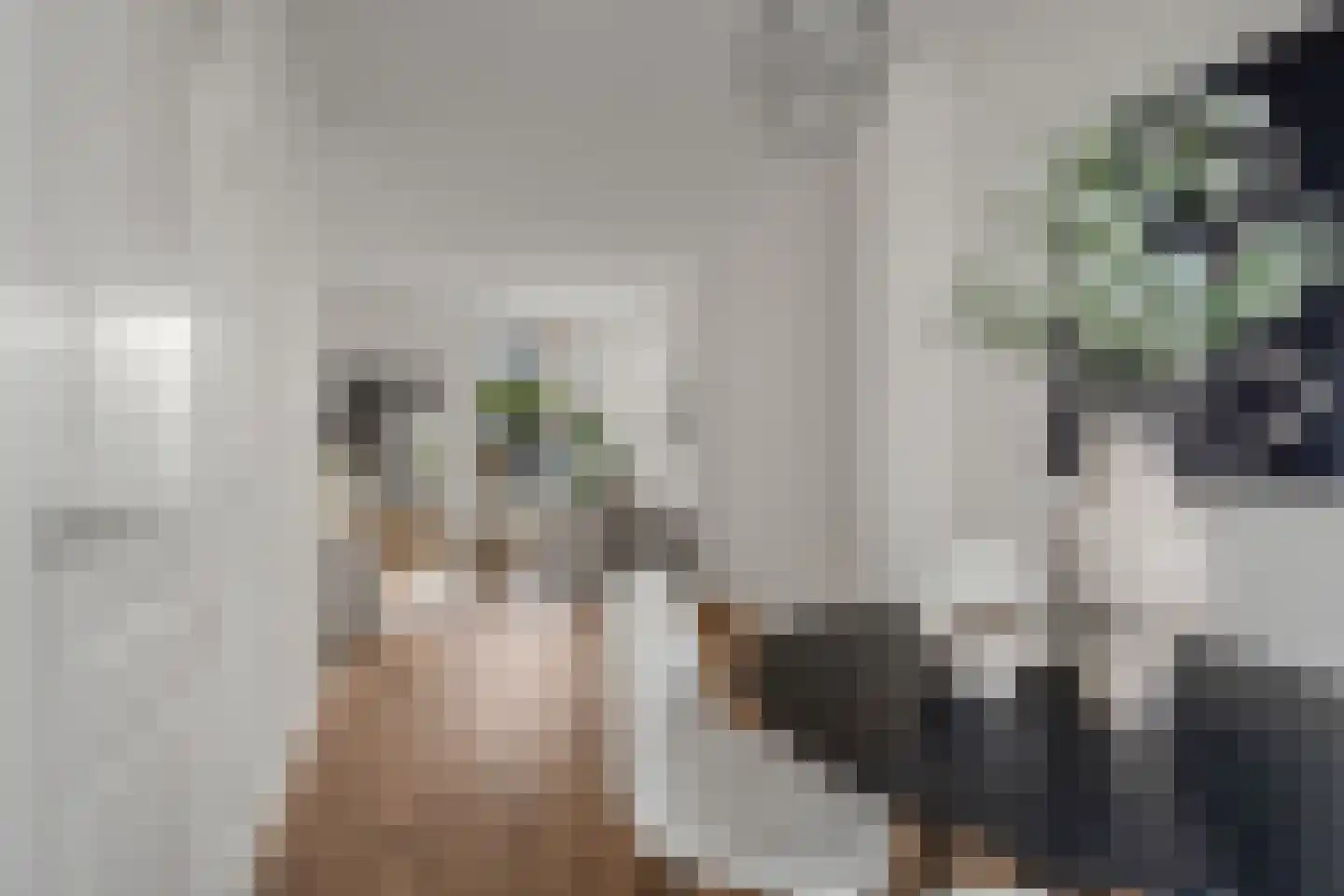 Egelantierstraat 46 Utrecht thumbnail 12