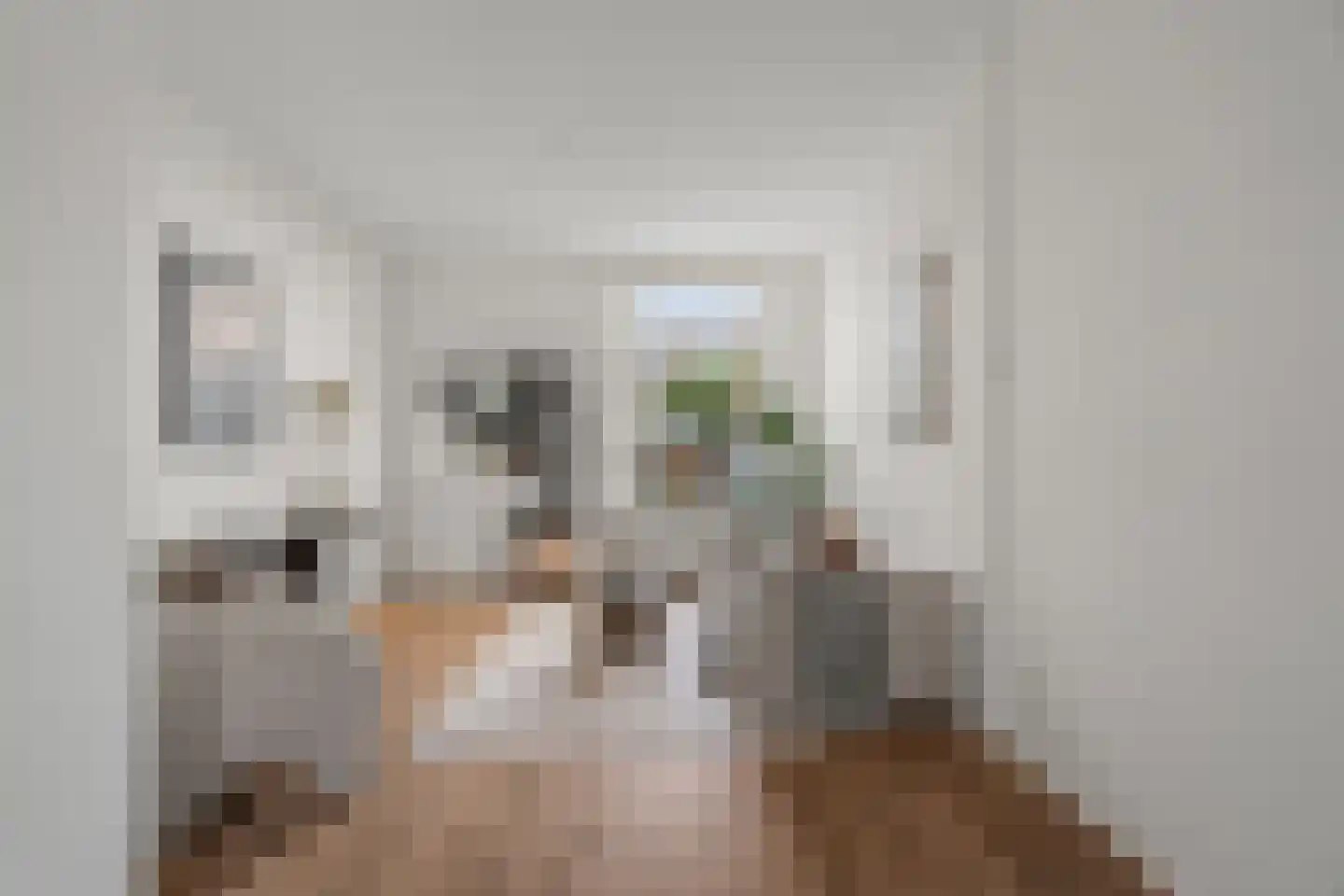 Egelantierstraat 46 Utrecht thumbnail 13