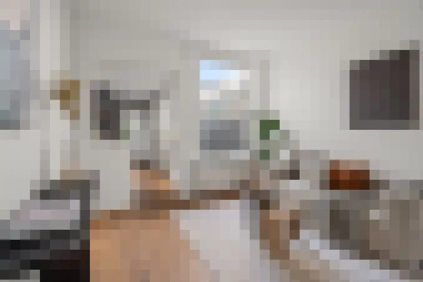 Egelantierstraat 46 Utrecht thumbnail 15