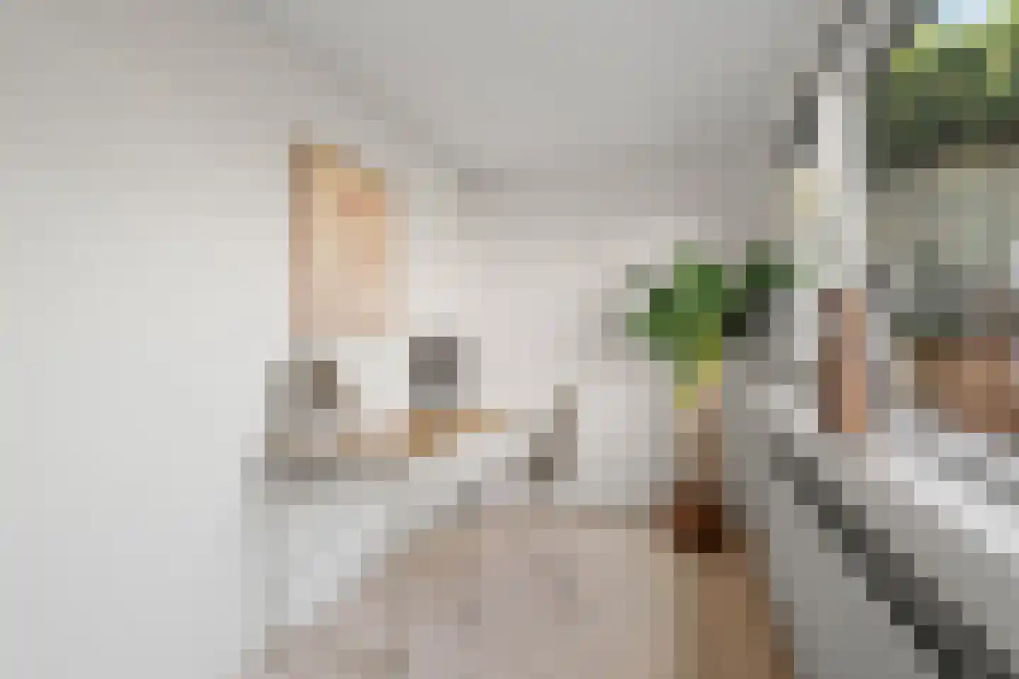 Egelantierstraat 46 Utrecht thumbnail 21