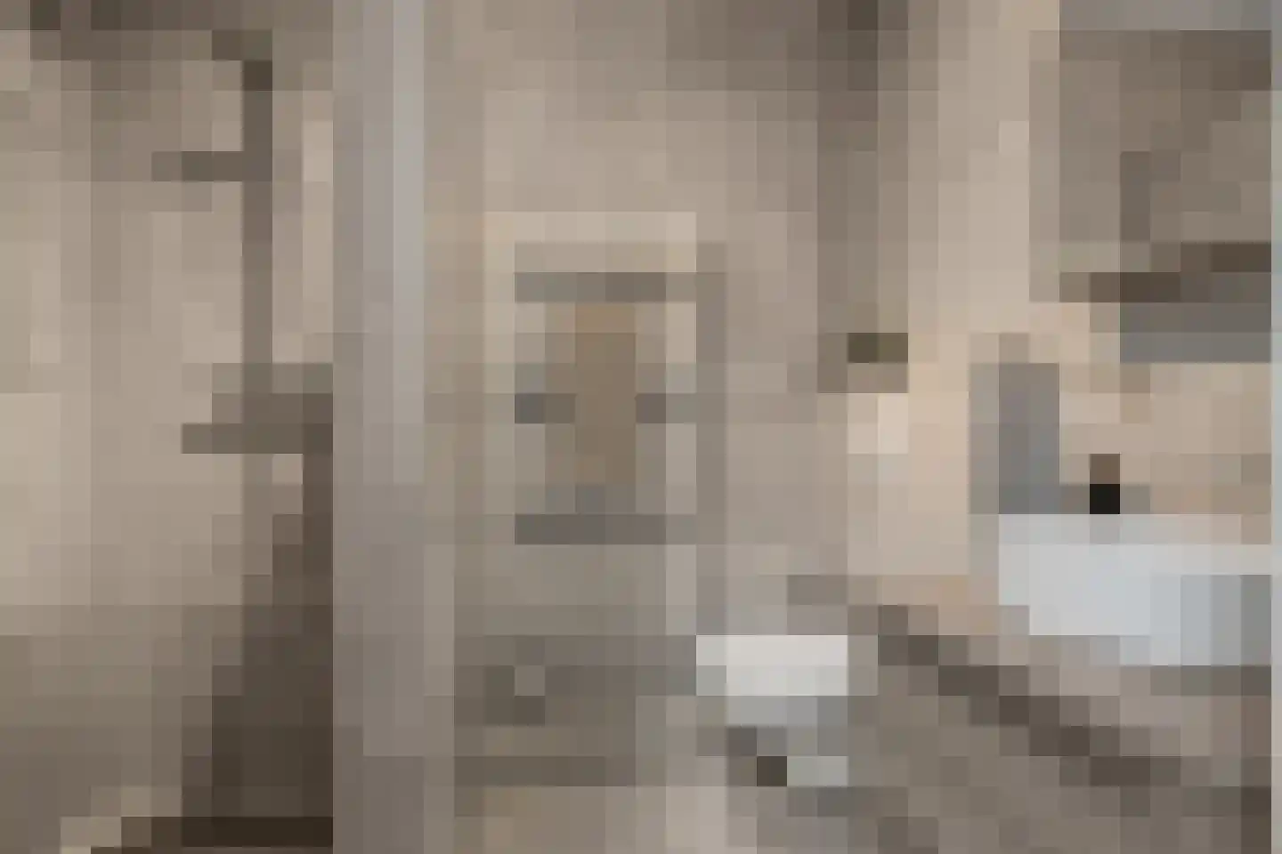 Egelantierstraat 46 Utrecht thumbnail 33