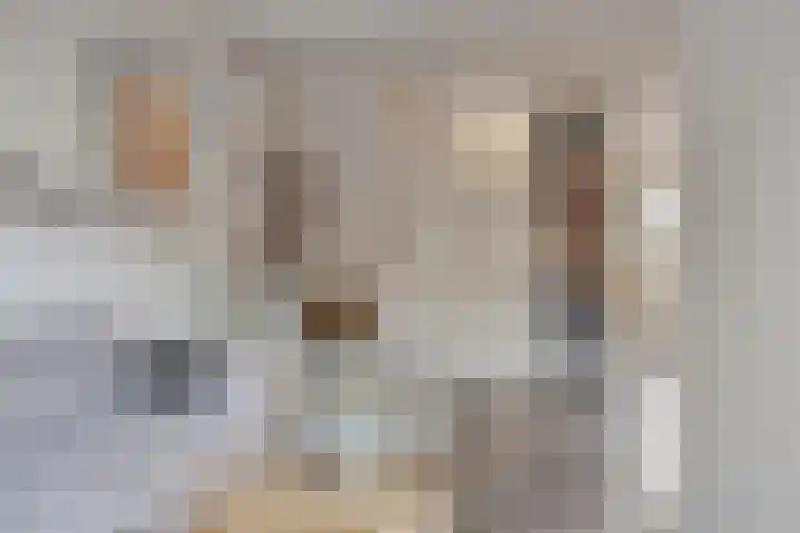 Egelantierstraat 5 Borne thumbnail 10