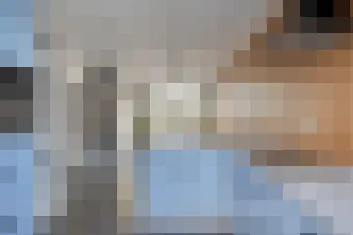 Egelantierstraat 5 Borne thumbnail 17