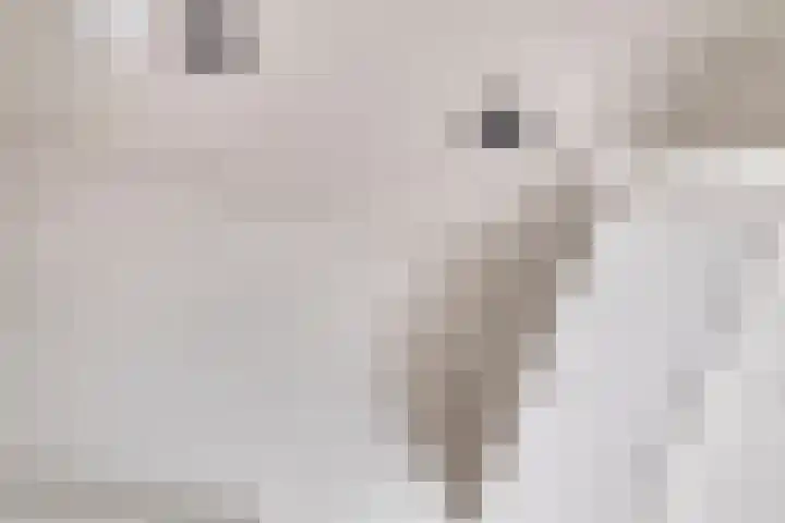 Egelantierstraat 5 Borne thumbnail 31