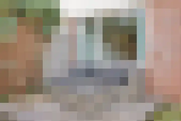 Egelantierstraat 5 Borne thumbnail 35