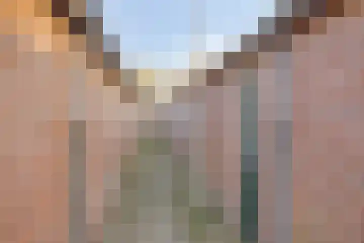 Egelantierstraat 5 Borne thumbnail 38