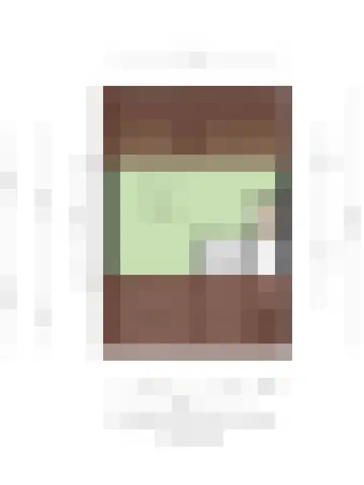 Egelantierstraat 5 Borne thumbnail 43