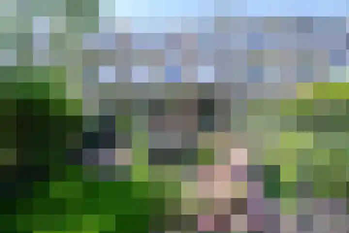 Egelantierstraat 57 in Den Haag