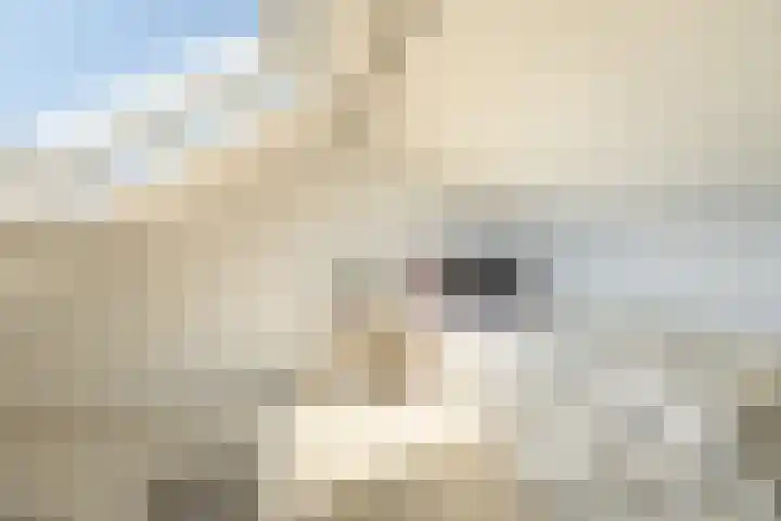 Egelantierstraat 62 Hilversum thumbnail 17