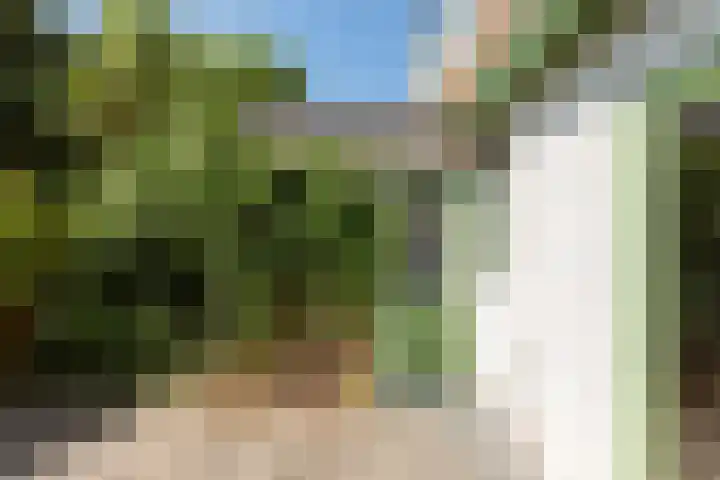 Egelantierstraat 62 Hilversum thumbnail 20