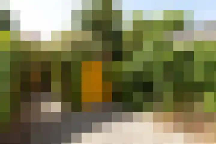 Egelantierstraat 62 Hilversum thumbnail 21
