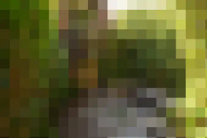 Egelantierstraat 62 Hilversum thumbnail 22