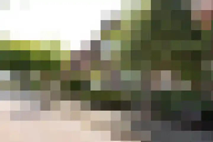 Egelantierstraat 62 Hilversum thumbnail 23