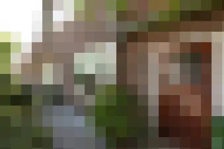 Egelantierstraat 62 Hilversum thumbnail 24