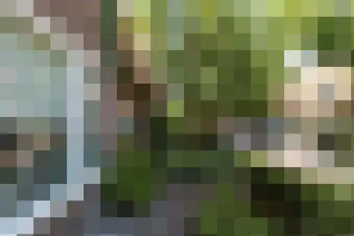 Egelantierstraat 62 Hilversum thumbnail 25