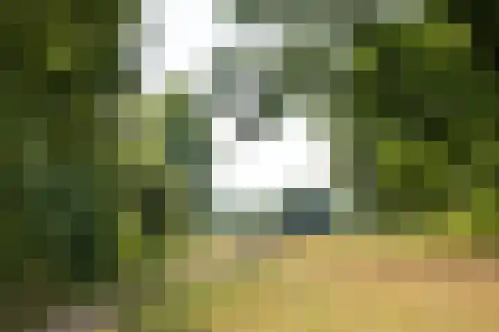 Egelantierstraat 62 Hilversum thumbnail 26