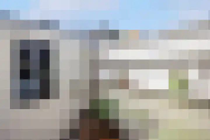 Egelantierstraat 82 Utrecht thumbnail 21